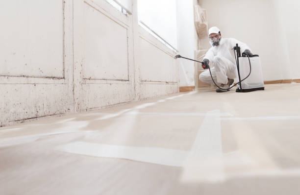 24/7 Emergency Crawl Space Mold Removal experts in Halifax, NC