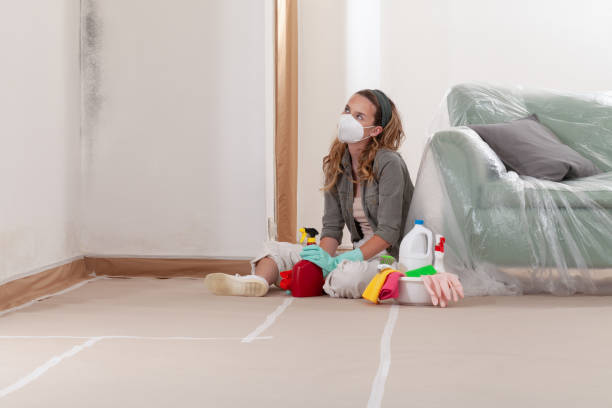 Reliable Mold Cleanup contractor in Halifax, NC by Cheap Mold Removal